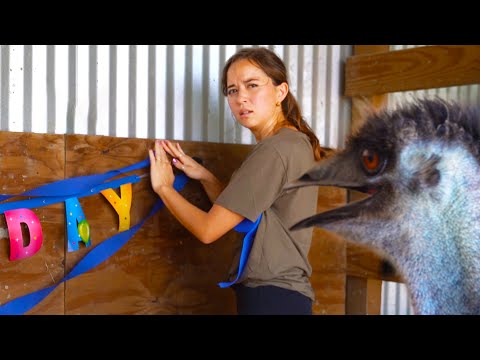 stompy RUINED his birthday