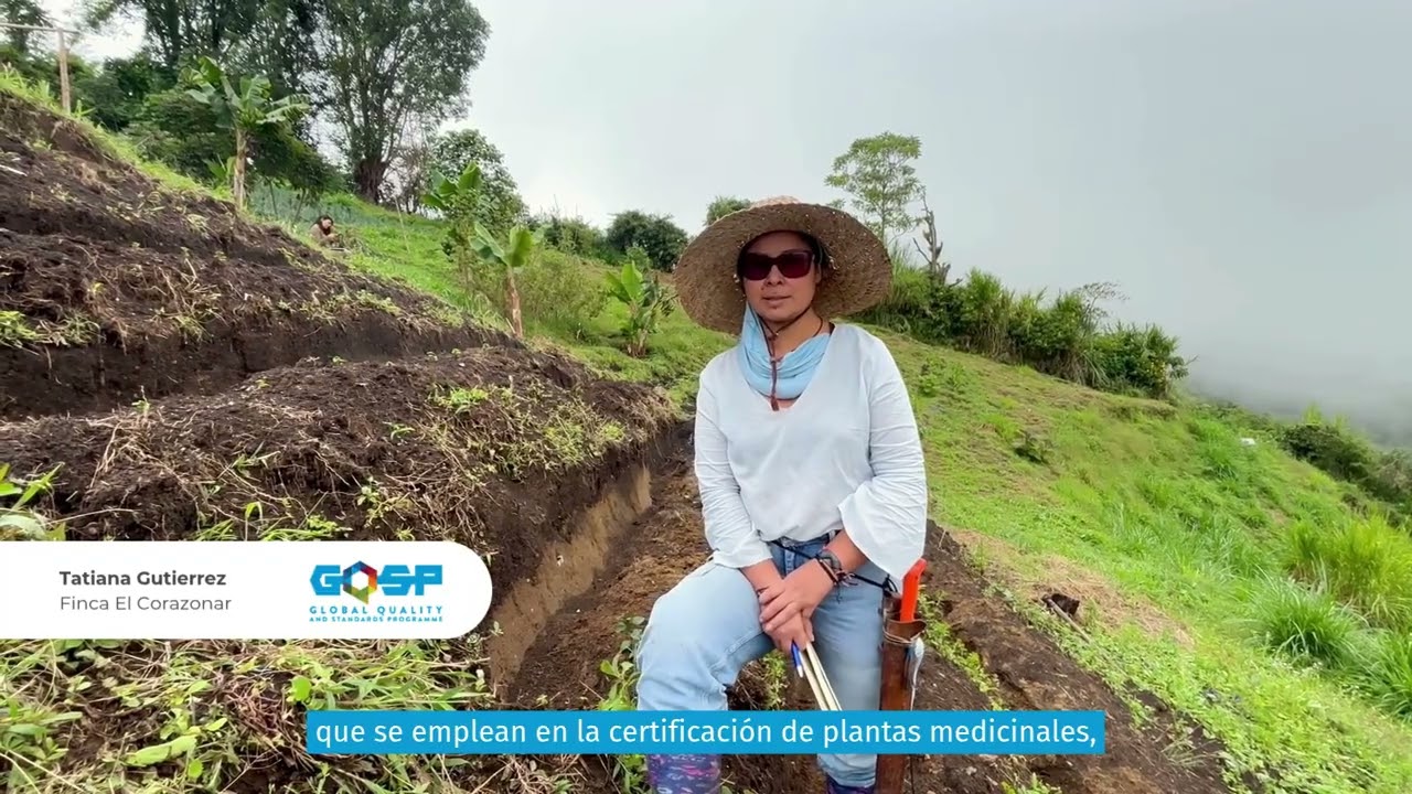 Producción orgánica y agroecología en Colombia | Finca El Corazonar (GQSP Colombia)