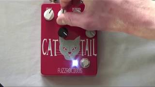 Video thumbnail for Fuzzrocious Cat Tail Bass Demo by SzymanskiBass