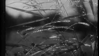 Music video thumbnail preview for 惘闻 (Wang Wen) - 甜井 (Sweet Well) by 惘闻