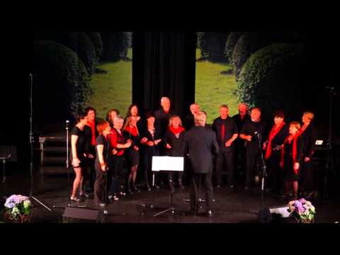Heavenly Voices Gospel Chor from Frankfurt (Oder)