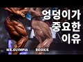 보디빌딩에서 엉덩이의 중요성 (FEAT. 이승철 선수, 박재훈 선수)