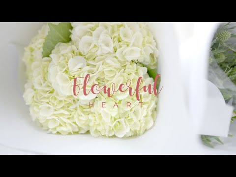 Thru My Eyes Photography video.