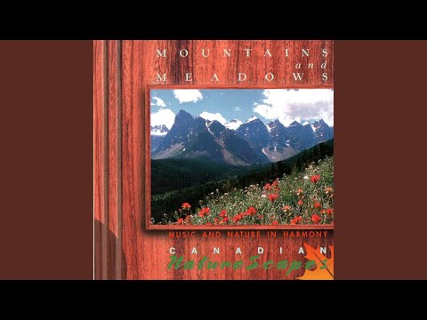 Mountains And Meadows