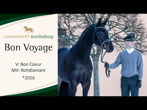 BON VOYAGE v. Bon Coeur - Rohdiamant