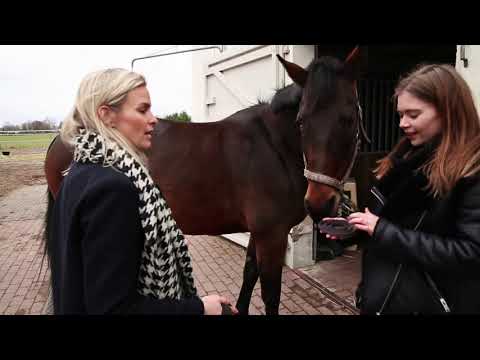 berlin kunterbunt mit Farina Flebbe - Teil 1