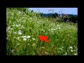 Eric Tingstad · Nancy Rumbel - Pastorale