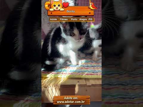 Vídeo de Benta