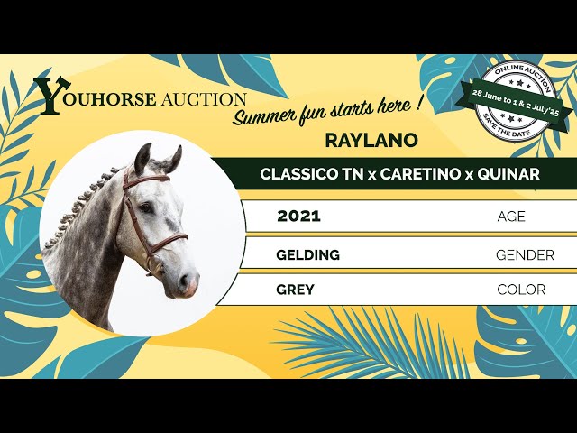 Raylano