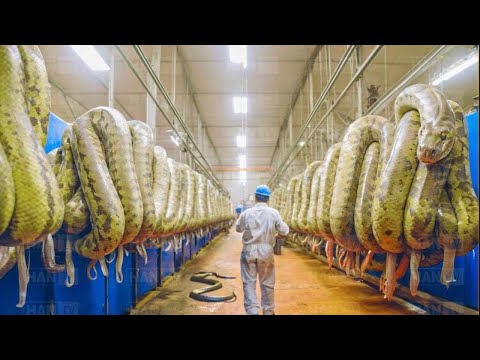 Futuristische Landwirtschaftsmaschinen der nächsten Generation