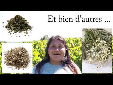 Domaine l'Or de Line - Châteauneuf-du-Pape - France