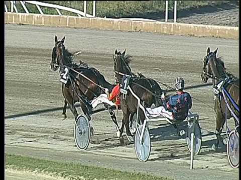 Trotto 09/04/2017 - 6ª corsa