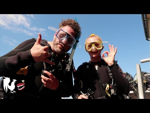 Burnie Vlog: Scuba Diving at the Great Barrier Reef | Rooster Teeth