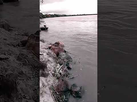 El Río Ucayali Loreto Perú