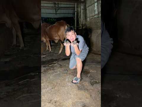 Đây Là Ngắn Ngắn Ngắn #shorts