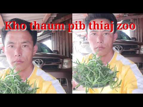 Tus Neeg Mob Plawv  Zoo Li Cas  20-7-2022