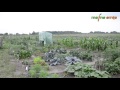meine ernte Gemüsegärten in Berlin-Rudow meine ernte Gemüsegärten in Berlin-Rudow