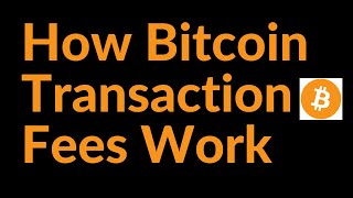 How Do Bitcoin Transaction Fees Work?
