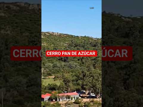 Tu próxima parada obligatoria en Uruguay #turismo #shorts #uruguaynatural