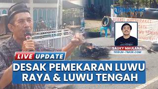 Aliansi Masyarakat Luwu Raya Kembali Demo Tuntut DOB, LUmpuhkan Akses Jalan Poros
