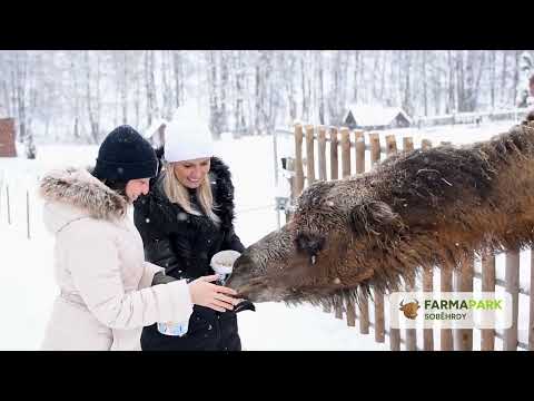 Náhled pro video reference