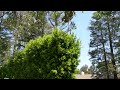 Actor Moviestar Gary Cooper Former Home House Brentwood Los Angeles California USA May 8 2023