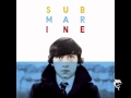 Alex Turner - Glass In The Park 