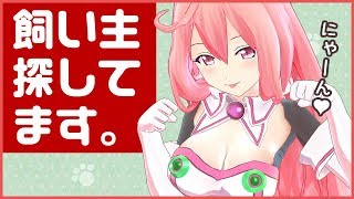 猫拾ったんだけど質問あるかしら？【にゃーん】
