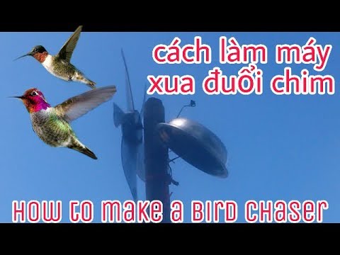 , title : 'Cách làm máy xua đuổi chim( how to make a bird chaser )'