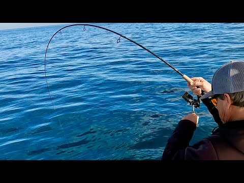 Solo Sight Casting False Albacore, Outer Banks, Oregon Inlet, NC