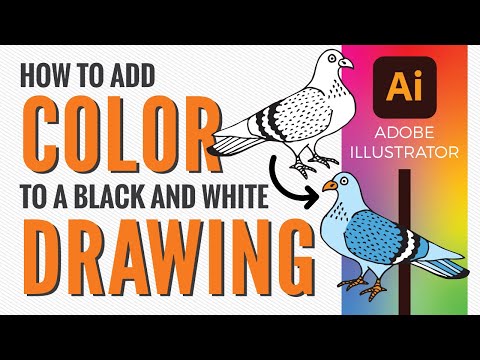 How to color a black and white drawing in Adobe...