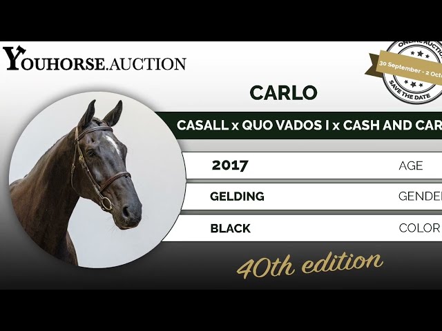 Carlo 545 @ the show