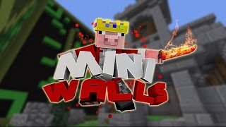WORST TEAMMATE EVER! - Mini Walls
