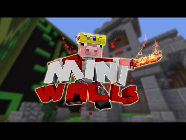 WORST TEAMMATE EVER! - Mini Walls