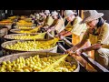 How SILK Is Made From MILLIONS Of SILKWORMS Amazing Cocoon Harvesting Process