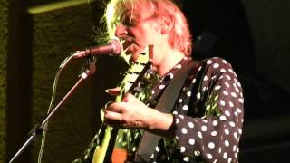 ROBYN HITCHCOCK - The Wreck Of The Arthur Lee.mp4