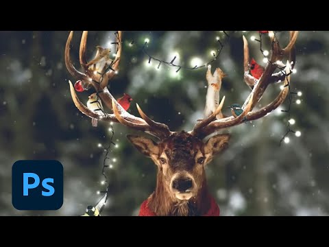 Celebrating Photoshop’s Birthday with Anna McNaught - 2 of 3 | Adobe Creative Cloud