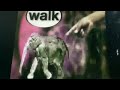 Sesame Street Walk Song