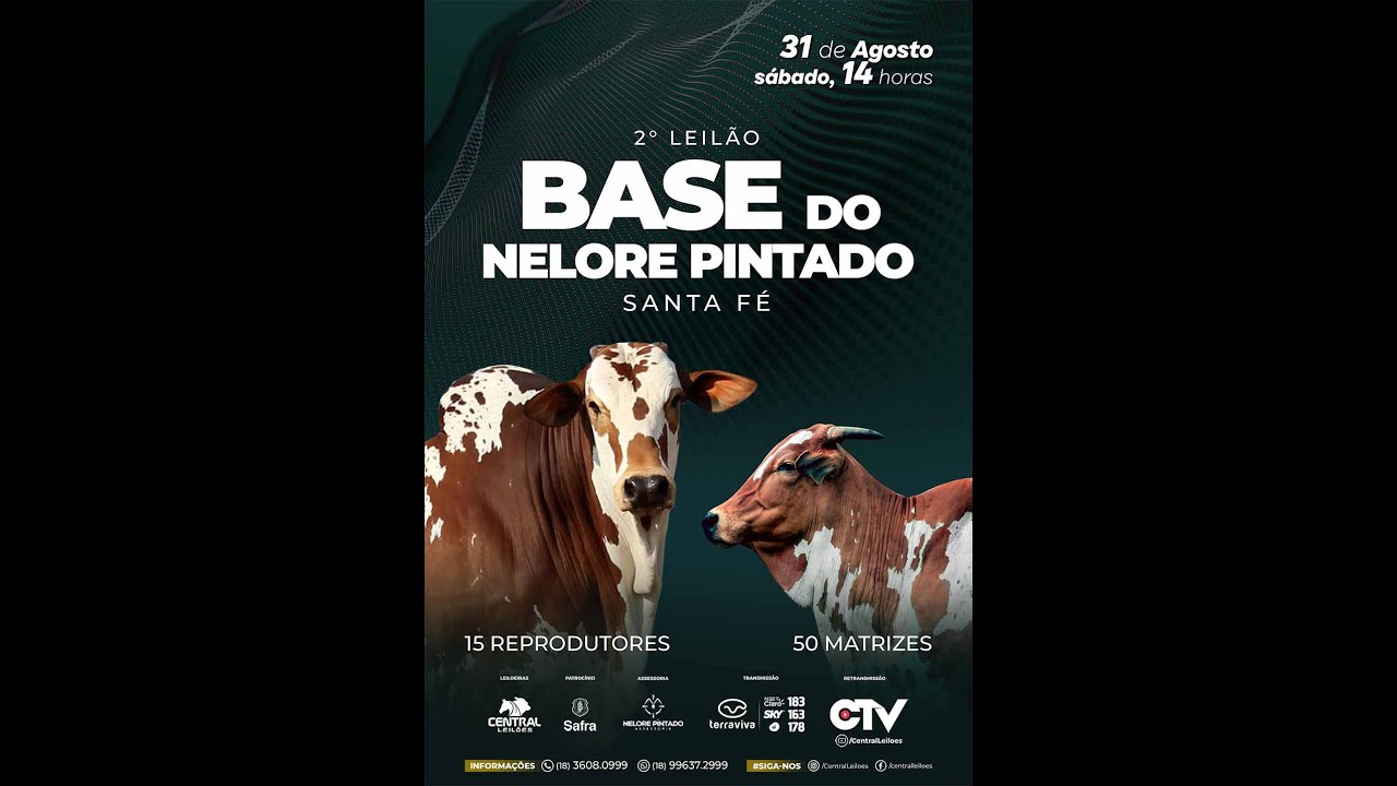 2º Leilão Base do Nelore Pintado Santa Fé| 31/08/2024 14hs