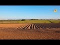 Curso Administração da Pequena Empresa Rural