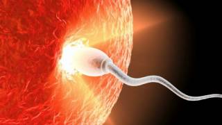 Myattmode - The Miracle Of Life (1080p HD)