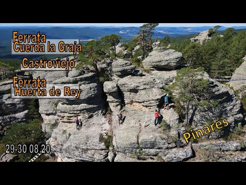 Pinares - Burgos y Soria 08-2020