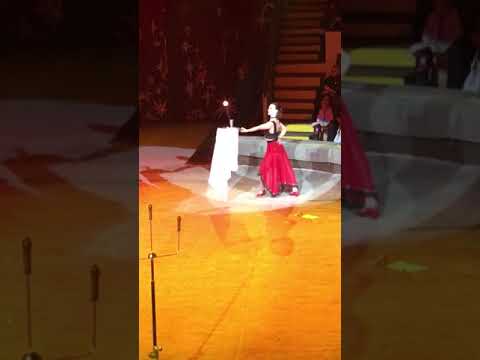 Донецкий цирк 2017