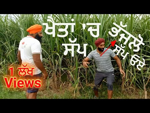 indian punjabi farming baba Ram Rahim Singh da Bhagat kala part 1 Video