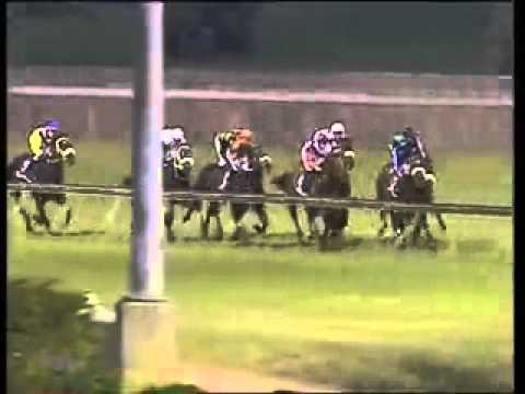 Silver Flyer 1st win Geyville - Racing Association