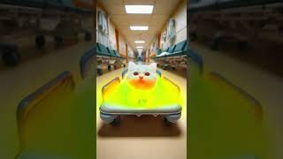 🐱🔮➡️🐾🐹 Kitten to Mole?! 🌈✨🕳️#cat #supercattales #catfunny #animation #catvideos