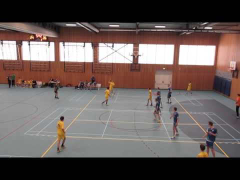 Oliveo B1 - Swift B1 (1)