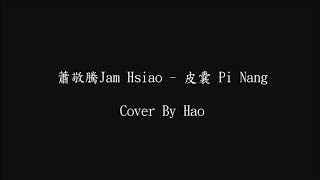 蕭敬騰Jam Hsiao - 皮囊 Pi Nang (Cover By Hao)