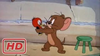 Download lagu [Full HD]Tom And Jerry - Hatch Up Your Troubles 1949 - Fragment mp3