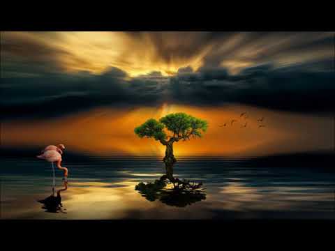 New Day -  A Soulful Funky Disco Mix